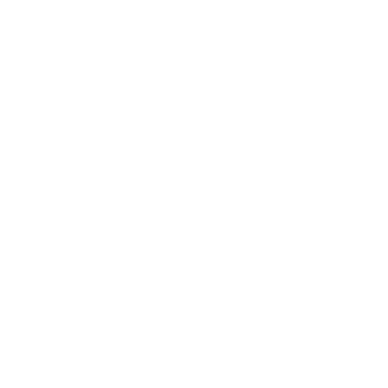 Valor Algarve Car Wash & Detailing logo